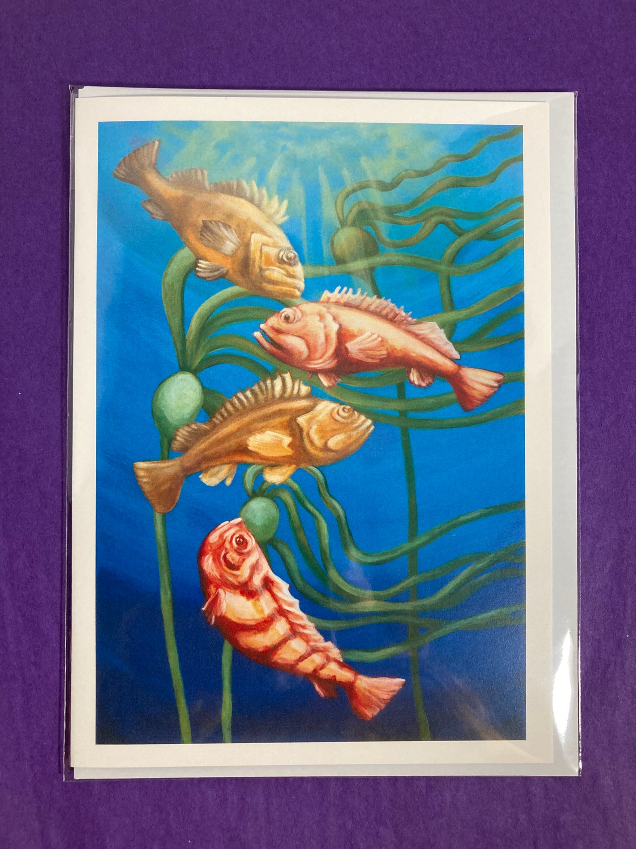 Rockfish in the Coastal Kelp Card