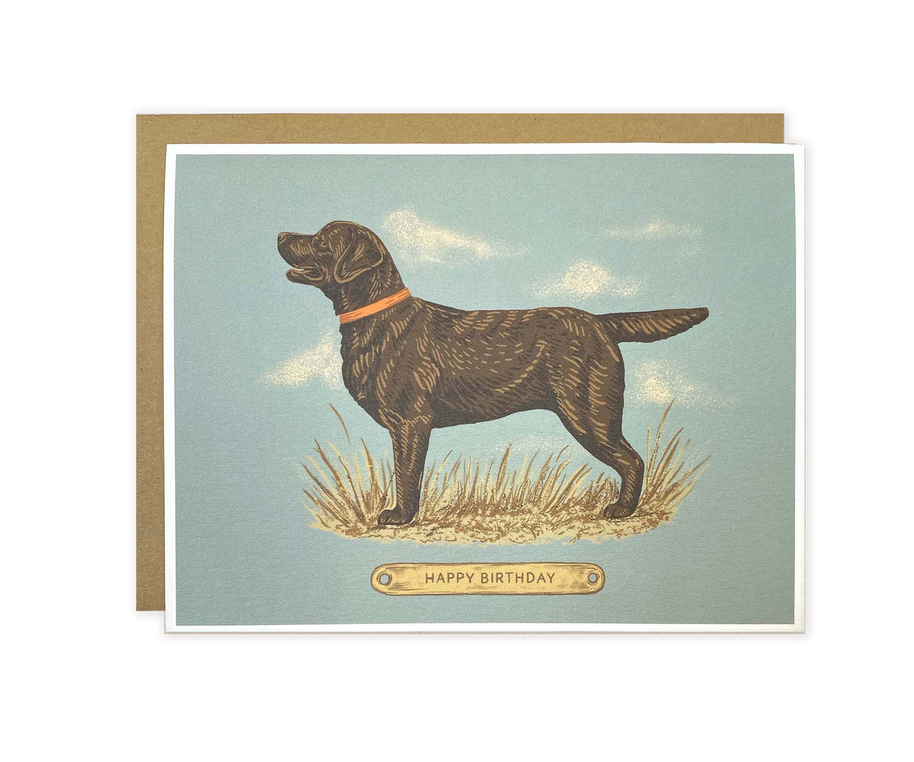 Happy Birthday Chocolate Lab Greeting Card